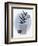 Still Life 2-Doris Charest-Framed Art Print