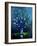 Still Life 675130-Pol Ledent-Framed Art Print