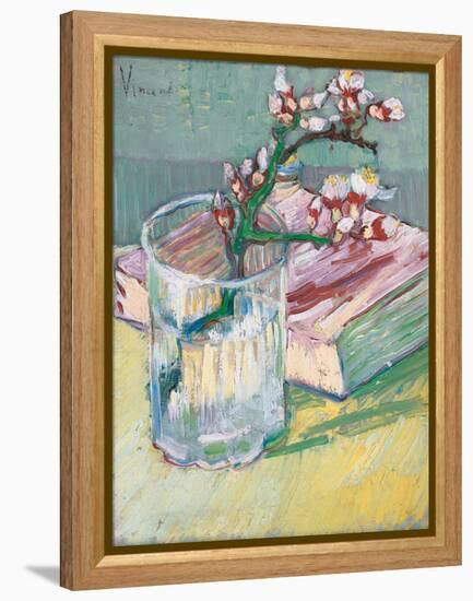 Still Life, a Flowering Almond Branch, 1888-Vincent van Gogh-Framed Premier Image Canvas