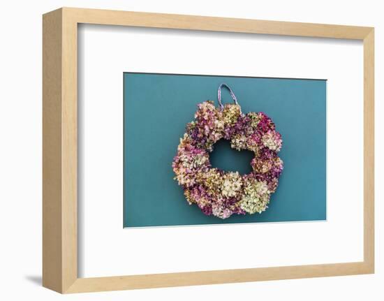 Still life, autumnal decoration, wreath with hydrangea blossoms-mauritius images-Framed Photographic Print