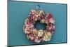 Still life, autumnal decoration, wreath with hydrangea blossoms-mauritius images-Mounted Photographic Print