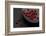Still Life, Berries, Red, Bowl, Grey, Black, Still Life-Andrea Haase-Framed Photographic Print