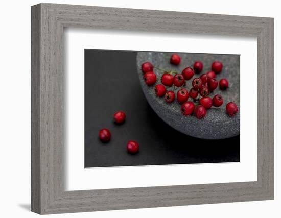 Still Life, Berries, Red, Bowl, Grey, Black, Still Life-Andrea Haase-Framed Photographic Print