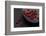 Still Life, Berries, Red, Bowl, Grey, Black, Still Life-Andrea Haase-Framed Photographic Print