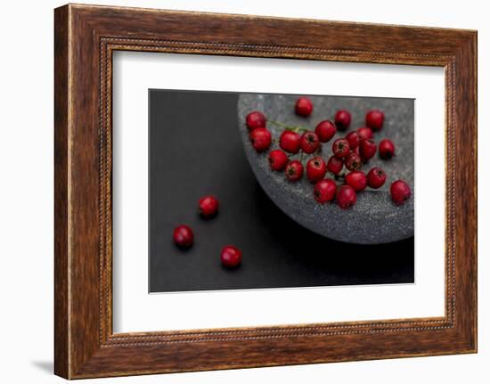 Still Life, Berries, Red, Bowl, Grey, Black, Still Life-Andrea Haase-Framed Photographic Print