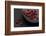 Still Life, Berries, Red, Bowl, Grey, Black, Still Life-Andrea Haase-Framed Photographic Print