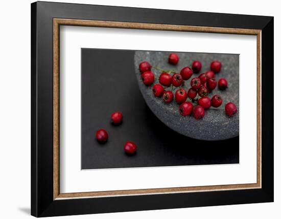 Still Life, Berries, Red, Bowl, Grey, Black, Still Life-Andrea Haase-Framed Photographic Print