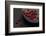 Still Life, Berries, Red, Bowl, Grey, Black, Still Life-Andrea Haase-Framed Photographic Print