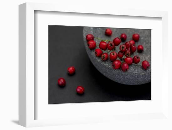 Still Life, Berries, Red, Bowl, Grey, Black, Still Life-Andrea Haase-Framed Photographic Print