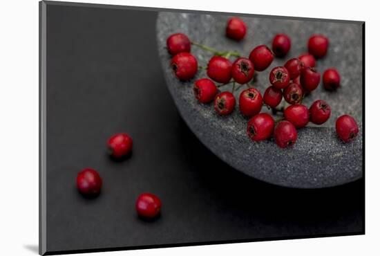 Still Life, Berries, Red, Bowl, Grey, Black, Still Life-Andrea Haase-Mounted Photographic Print