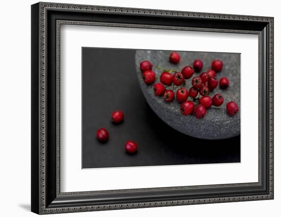 Still Life, Berries, Red, Bowl, Grey, Black, Still Life-Andrea Haase-Framed Photographic Print