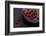 Still Life, Berries, Red, Bowl, Grey, Black, Still Life-Andrea Haase-Framed Photographic Print