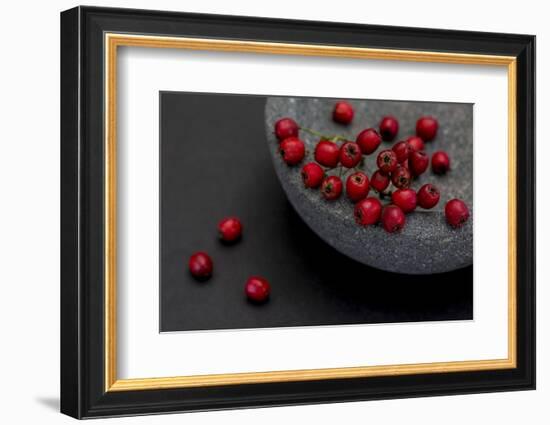 Still Life, Berries, Red, Bowl, Grey, Black, Still Life-Andrea Haase-Framed Photographic Print