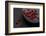 Still Life, Berries, Red, Bowl, Grey, Black, Still Life-Andrea Haase-Framed Photographic Print