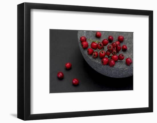 Still Life, Berries, Red, Bowl, Grey, Black, Still Life-Andrea Haase-Framed Photographic Print