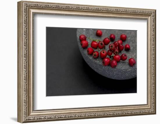 Still Life, Berry, Red, Bowl, Gray, Black, Still Life-Andrea Haase-Framed Photographic Print