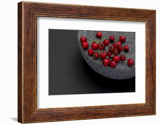 Still Life, Berry, Red, Bowl, Gray, Black, Still Life-Andrea Haase-Framed Photographic Print