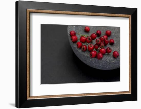 Still Life, Berry, Red, Bowl, Gray, Black, Still Life-Andrea Haase-Framed Photographic Print