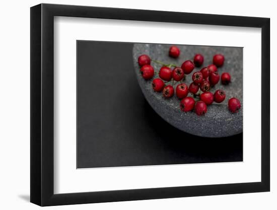 Still Life, Berry, Red, Bowl, Gray, Black, Still Life-Andrea Haase-Framed Photographic Print