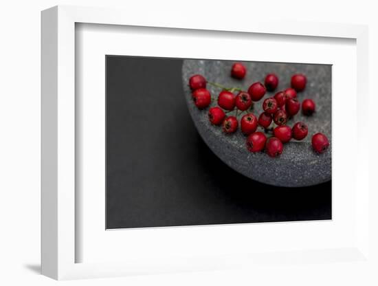 Still Life, Berry, Red, Bowl, Gray, Black, Still Life-Andrea Haase-Framed Photographic Print