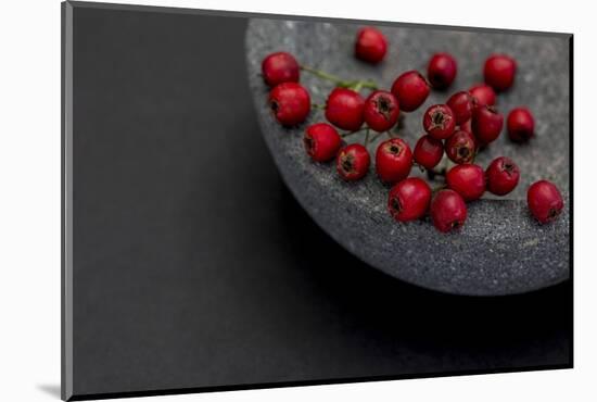 Still Life, Berry, Red, Bowl, Gray, Black, Still Life-Andrea Haase-Mounted Photographic Print