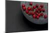 Still Life, Berry, Red, Bowl, Gray, Black, Still Life-Andrea Haase-Mounted Photographic Print