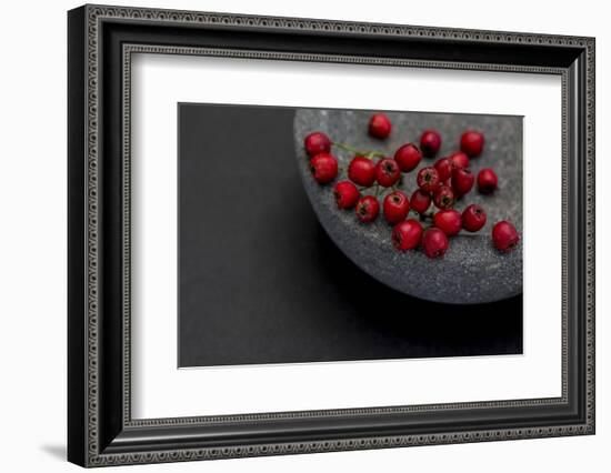 Still Life, Berry, Red, Bowl, Gray, Black, Still Life-Andrea Haase-Framed Photographic Print