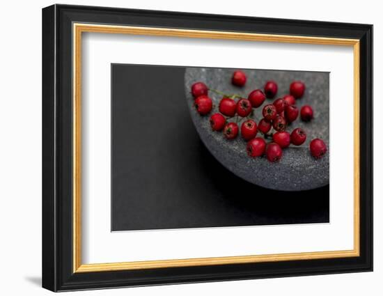 Still Life, Berry, Red, Bowl, Gray, Black, Still Life-Andrea Haase-Framed Photographic Print