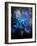 Still Life Blue Flowers-Pol Ledent-Framed Art Print