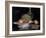 Still Life Bowl of Fruit, Melon and Carafe-George Leslie Hunter-Framed Giclee Print