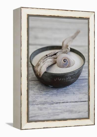 Still Life, Bowl, Sand, Driftwood, Snail Shell-Andrea Haase-Framed Premier Image Canvas