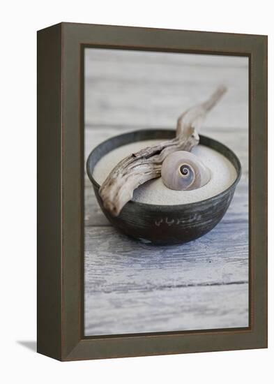 Still Life, Bowl, Sand, Driftwood, Snail Shell-Andrea Haase-Framed Premier Image Canvas