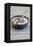 Still Life, Bowl, Sand, Driftwood, Snail Shell-Andrea Haase-Framed Premier Image Canvas