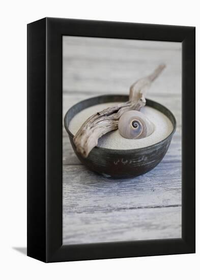 Still Life, Bowl, Sand, Driftwood, Snail Shell-Andrea Haase-Framed Premier Image Canvas