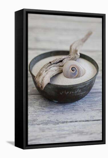 Still Life, Bowl, Sand, Driftwood, Snail Shell-Andrea Haase-Framed Premier Image Canvas