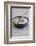 Still Life, Bowl, Sand, Driftwood, Snail Shell-Andrea Haase-Framed Photographic Print