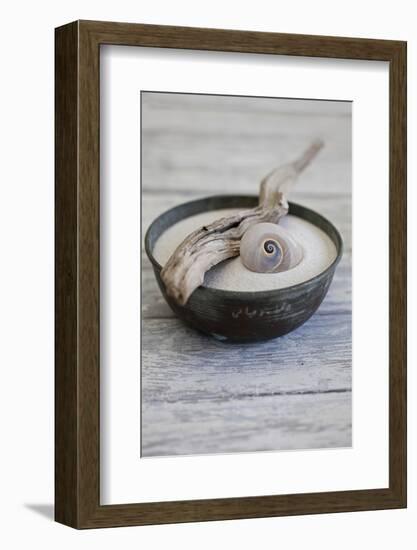 Still Life, Bowl, Sand, Driftwood, Snail Shell-Andrea Haase-Framed Photographic Print