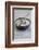 Still Life, Bowl, Sand, Driftwood, Snail Shell-Andrea Haase-Framed Photographic Print