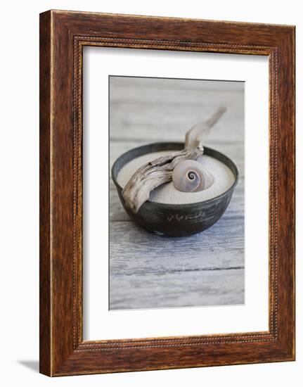 Still Life, Bowl, Sand, Driftwood, Snail Shell-Andrea Haase-Framed Photographic Print