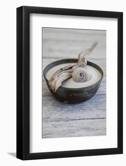 Still Life, Bowl, Sand, Driftwood, Snail Shell-Andrea Haase-Framed Photographic Print