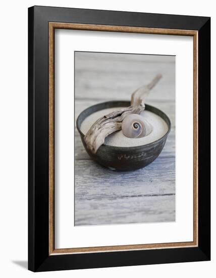 Still Life, Bowl, Sand, Driftwood, Snail Shell-Andrea Haase-Framed Photographic Print