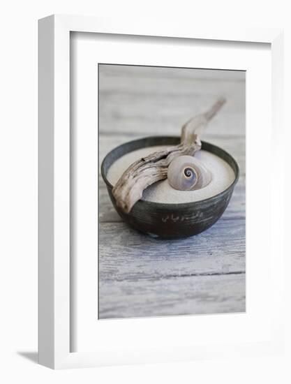 Still Life, Bowl, Sand, Driftwood, Snail Shell-Andrea Haase-Framed Photographic Print