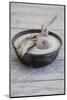 Still Life, Bowl, Sand, Driftwood, Snail Shell-Andrea Haase-Mounted Photographic Print