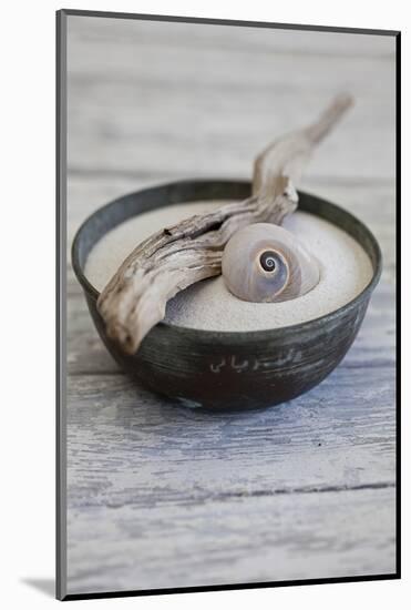 Still Life, Bowl, Sand, Driftwood, Snail Shell-Andrea Haase-Mounted Photographic Print