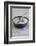 Still Life, Bowl, Sand, Driftwood, Snail Shell-Andrea Haase-Framed Photographic Print