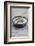 Still Life, Bowl, Sand, Driftwood, Snail Shell-Andrea Haase-Framed Photographic Print