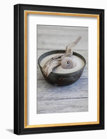 Still Life, Bowl, Sand, Driftwood, Snail Shell-Andrea Haase-Framed Photographic Print