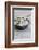 Still Life, Bowl, Sand, Driftwood, Starfish-Andrea Haase-Framed Photographic Print