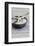 Still Life, Bowl, Sand, Driftwood, Starfish-Andrea Haase-Framed Photographic Print