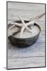Still Life, Bowl, Sand, Driftwood, Starfish-Andrea Haase-Mounted Photographic Print